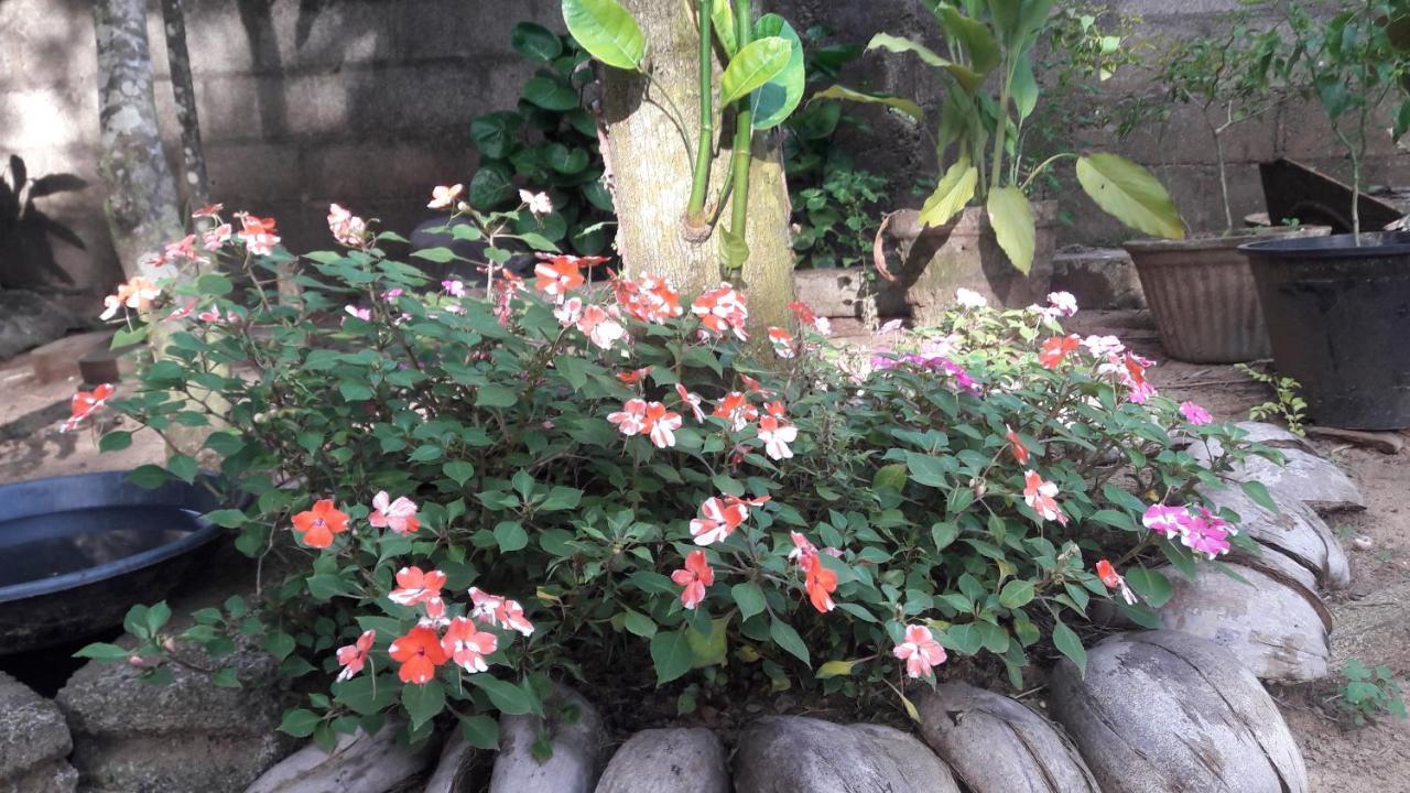 Villa Vidura Bataduwa Bagian luar foto